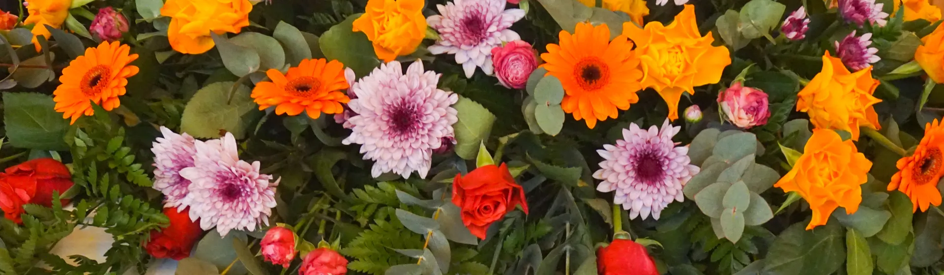 A colourful bouquet of orange gerberas, purple chrysanthemums, red and orange roses, surrounded by green leaves.