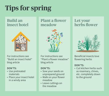 Tips for spring