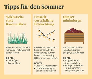 Artenvielfalt- Tipps für den Sommer
